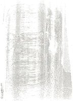 cortesia nel amaro courtesy from the artist to klauss van damme all rights reserved vegap